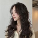 씨티헤어 네이버블로그