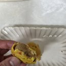 황금돼지 | 해바라기식품 부산황금돼지빵 솔직 후기 (feat. 여행 선물로 좋은 부산 기념품 추천)