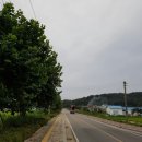 송해면-1 이미지