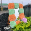 솔티오렌지