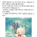 그림책향기 이미지