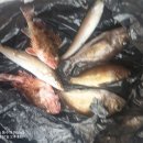 설리어촌체험휴양마을 이미지