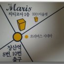 마리스 이미지