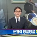 배성천 이미지