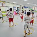 경희대솔밭태권도 이미지