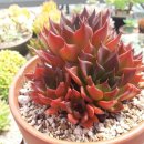 예뻐지다 이미지