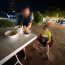 [대전 비어위크 후기] 밤 마실에 흠뻑 빠지다 (feat.엑스포공원 물빛광장)