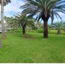 남원읍-90 이미지