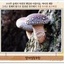 삼비산농장 이미지