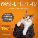나성펫동물병원 - 세종특별자치시 한누리대로 288 | 나성펫동물병원