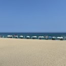 소나무목장 이미지