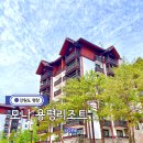 윈드힐 호텔&리조트 | 평창호텔 모나 용평리조트 베르데힐 49 체크인 투숙 찐후기