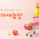 새미래농장 이미지