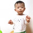 이유식 준비물 ♥️ 사용시기, 가격, 후기 정리