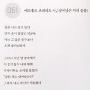 베르톨트 브레히트 시, 살아남은 자의 슬픔 이미지