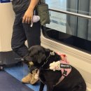 터미널마트 이미지