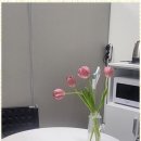 송도힐스카이탑공인중개사사무소 이미지