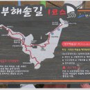 대부도 방아머리 음식거리 이미지