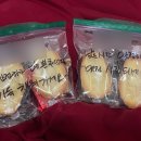 폴리민박 이미지