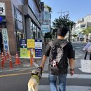성신필약국 앞 네이버블로그