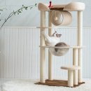 프리미엄캣 이미지