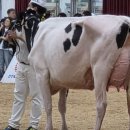 천호목장 이미지