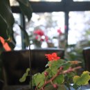 열미리보건진료소 이미지