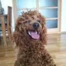 부산대학병원 앞 이미지