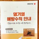 국립여수검역소 | 뎅기열 무료 신속진단검사 후기 🥲