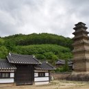 성곡리농로 이미지