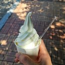 주니아 서교점 이미지