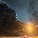 인생 첫 보드 평창휘닉스파크, 한화리조트 프레지덴셜 스위트, 렌탈샵 리프트권 할인, 한화리조트 보드...