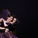 카멜리아 이미지