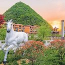 안순농장 이미지