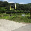 화산장어 이미지