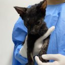 연부농장 이미지