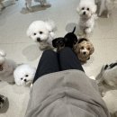 멍치원 이미지