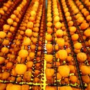 연풍농장 이미지