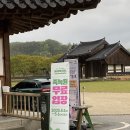 담양체육관 | 🎋 2025 담양 대나무축제 생생후기! 죽녹원에서 만난 봄, 그리고 담양 여행 코스 추천! 🌿