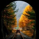 남원보석추어탕 | 가을 감성 충전! 부모님과 함께 떠나는 힐링 여행지 추천