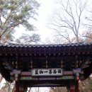 &lt;보은&gt; 충북 가볼만한곳 보은 가을여행 - 속리산 법주사