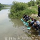 홍천수산 이미지