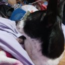 Slump 이미지