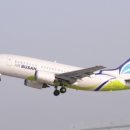 쫄랑쫄랑 이미지