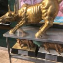 안심농장 이미지