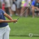 (주)비디오빌리지 이미지