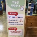 자연아 놀자자연생태탐험대 | 강릉생태체험박물관 자연아놀자 :: 강릉 아이와 가볼...먹이주기·파충류·닥터피쉬까지 가능한 생태체험관