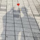 결혼준비 #04 디레브쥬얼리 수령 , 우당탕탕 수령 후기 💍