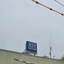 깨비책방 | 묵호 여행 후기 | 1박 2일 혼자 힐링 묵호여행 1일차 (논골담길, 도째비골, 어달항, 한섬해변)