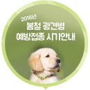 강남가축병원 이미지